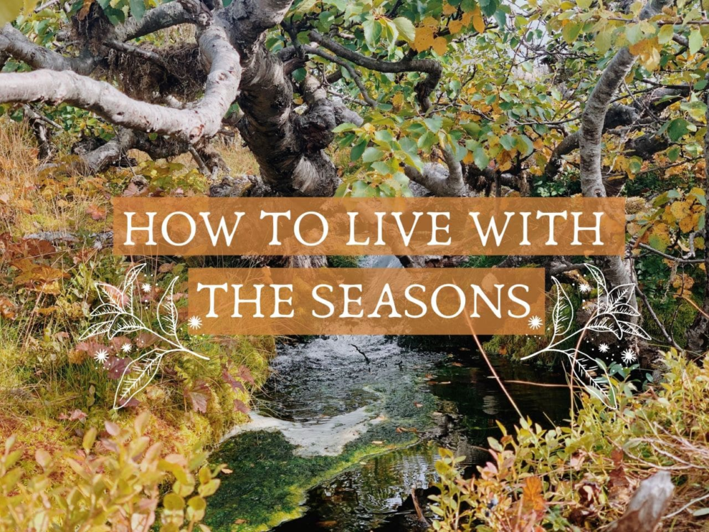 How to live with the seasons