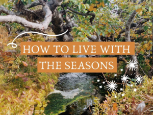 How to live with the seasons