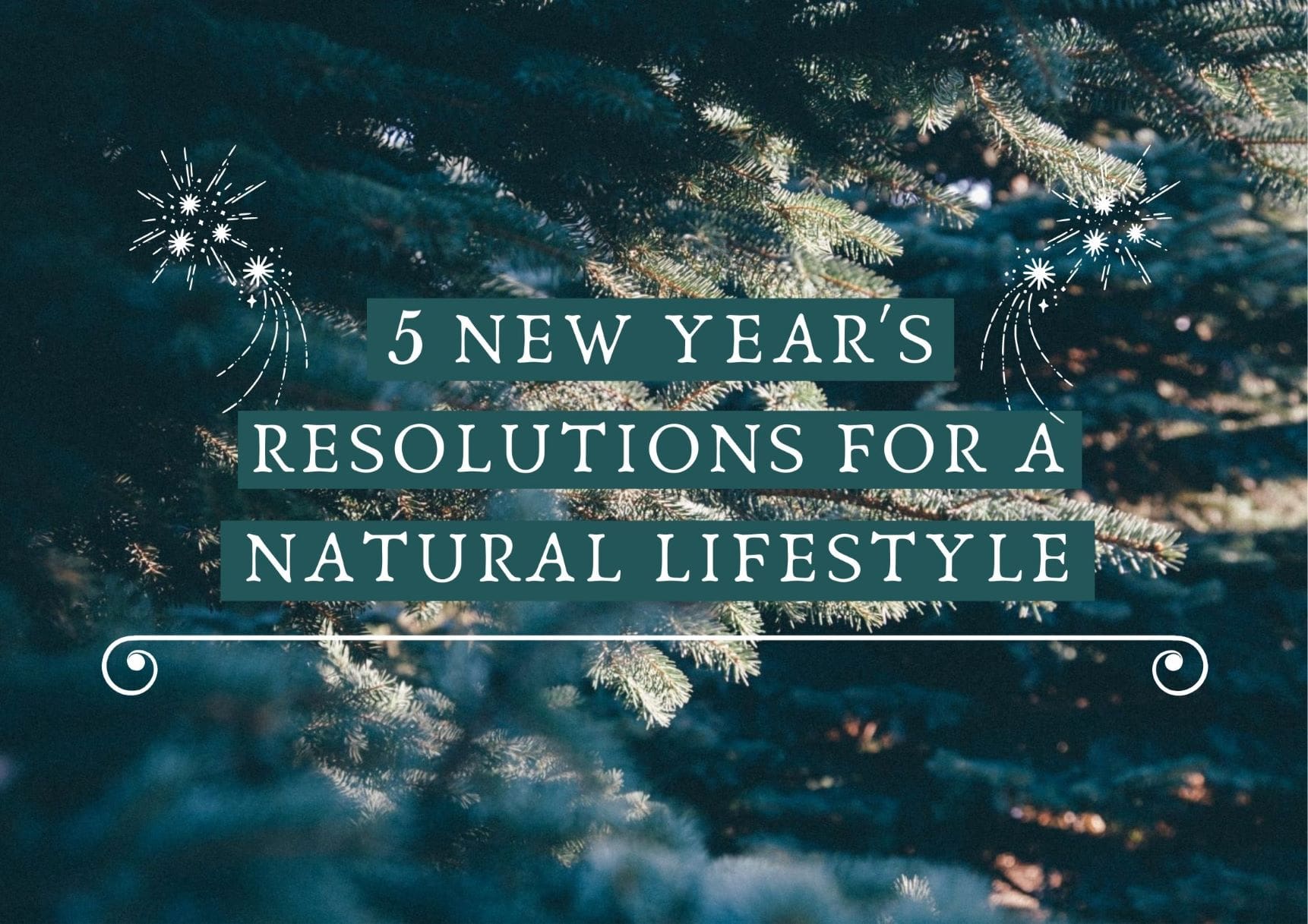 10 New Year's Resolutions for a More Environmentally Friendly Lifestyle -  MyChesCo