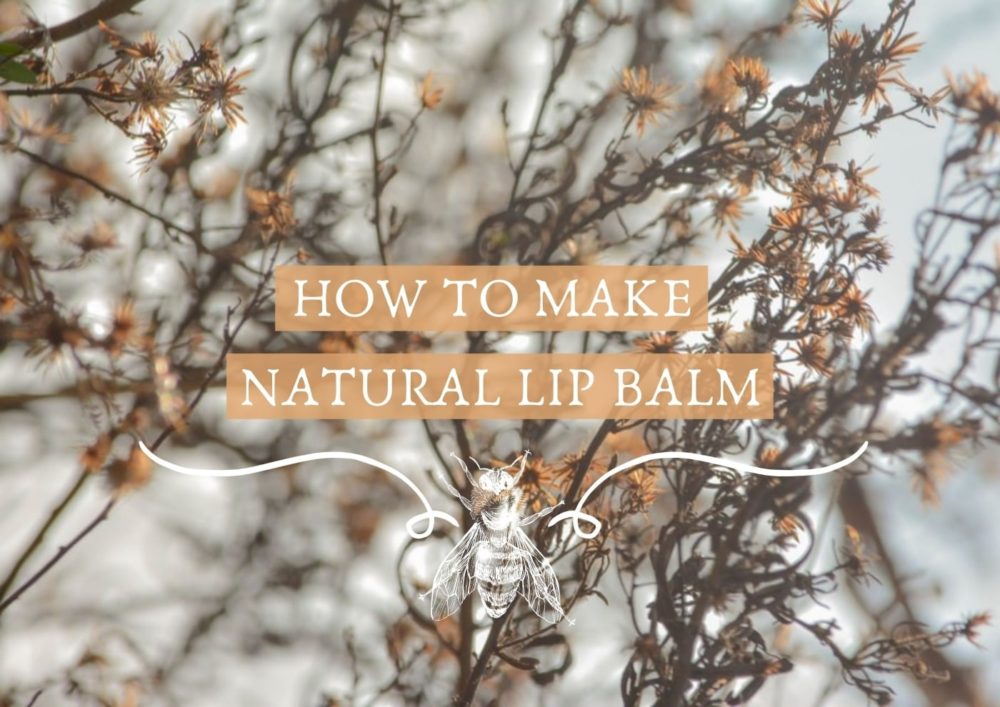 How to make natural lip balm