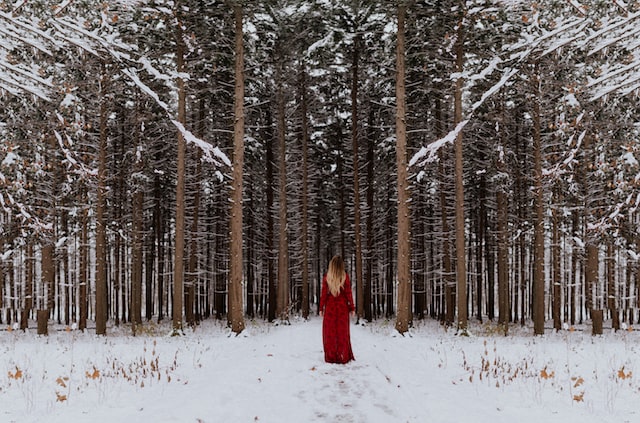 Women standing alone in a snowy forest