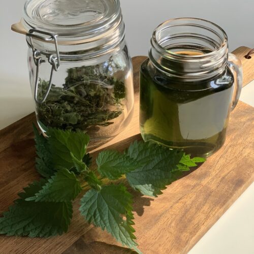 Stinging nettle infusion recipe